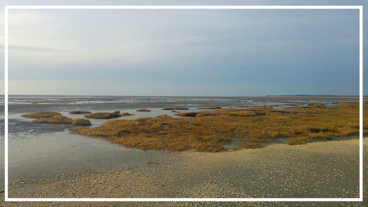 Odyssee Gite Sur Peniche Saint-Valéry-sur-Somme Exteriör bild